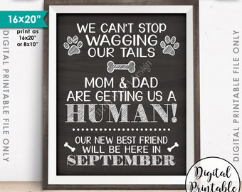 Dogs Pregnancy Announcement, Mom & Dad are Getting Us a Human, Due in SEPTEMBER, Chalkboard Style PRINTABLE Pregnancy Reveal Sign <ID>