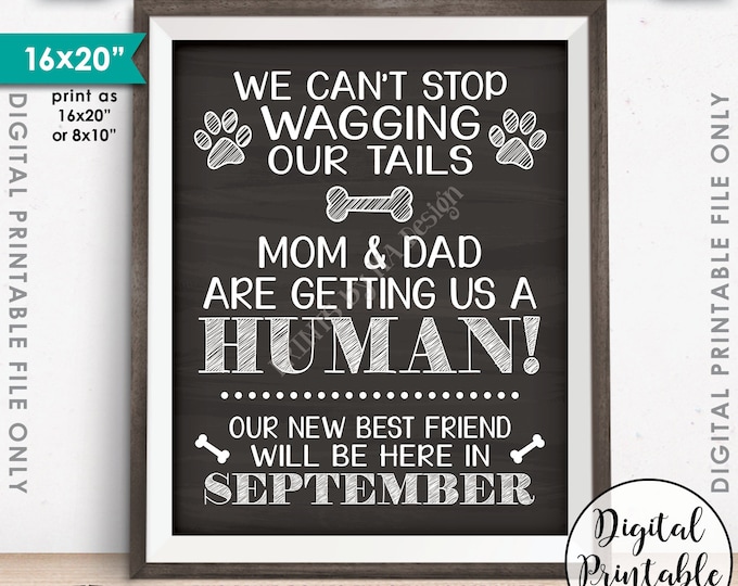 Dogs Pregnancy Announcement, Mom & Dad are Getting Us a Human, Due in SEPTEMBER, Chalkboard Style PRINTABLE Pregnancy Reveal Sign <ID>
