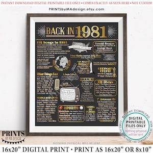 Back in 1981 Poster Bord, Rückblende bis 1981, Erinnerung an 1981, Geschichte der USA ab 1981, DRUCKBARES 16x20-Zoll-Schild &lt;ID&gt;