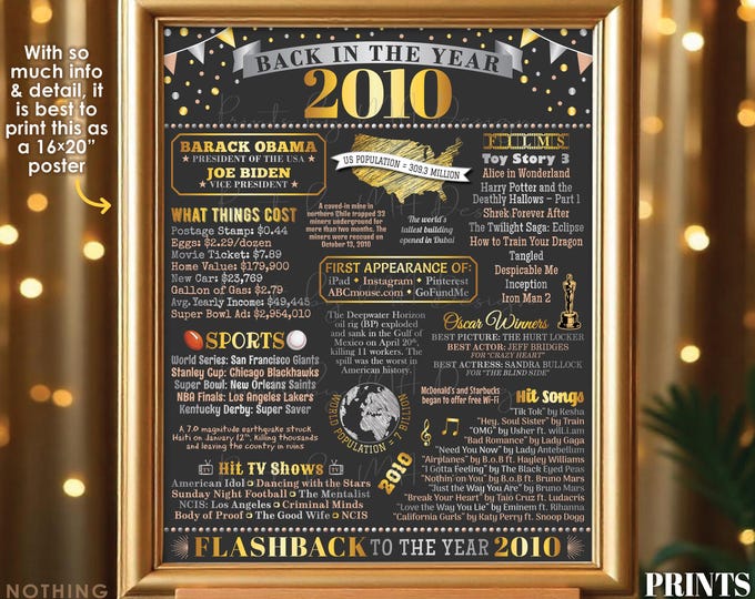 Back in the Year 2010 Poster Board, Remember 2010 Sign, Flashback to 2010 USA History from 2010, PRINTABLE 16x20” Sign <ID>