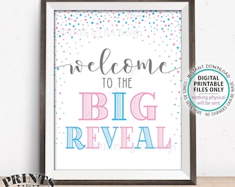 Welcome to the Big Reveal Sign, Gender Reveal Party Sign, PRINTABLE 8x10/16x20" Gender Reveal Welcome Sign, Pink & Blue Confetti <ID>