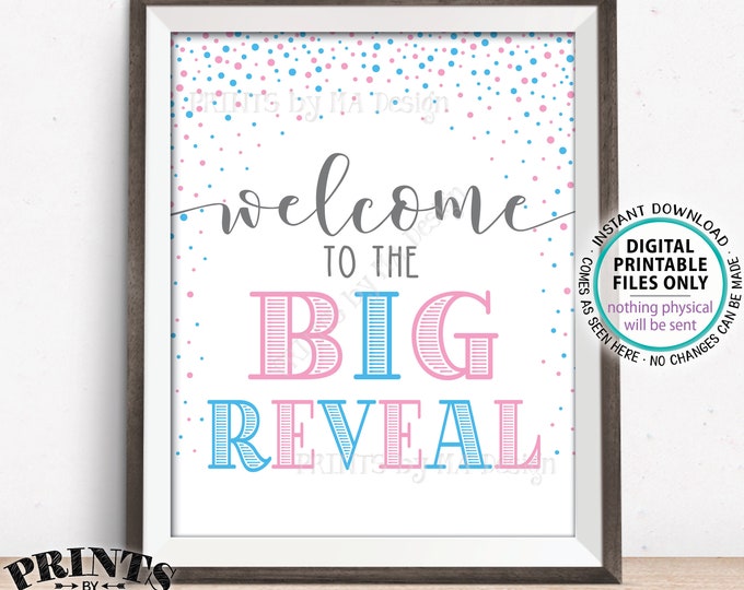 Welcome to the Big Reveal Sign, Gender Reveal Party Sign, PRINTABLE 8x10/16x20" Gender Reveal Welcome Sign, Pink & Blue Confetti <ID>