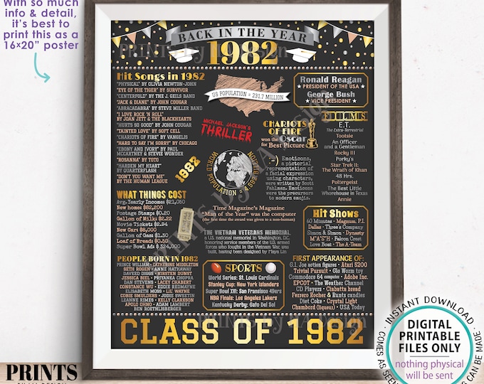 Class of 1982 Reunion Decoration, Back in the Year 1982 Poster Board, Flashback to 1982 High School Reunion, PRINTABLE 16x20” Sign <ID>