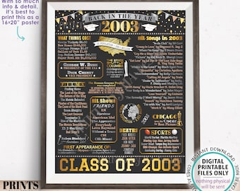 Class of 2003 Reunion Decoration, Back in the Year 2003 Poster Board, Flashback to 2003 High School Reunion, PRINTABLE 16x20” Sign <ID>