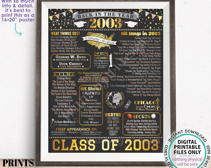 Class of 2003 Reunion Decoration, Back in the Year 2003 Poster Board, Flashback to 2003 High School Reunion, PRINTABLE 16x20” Sign <ID>