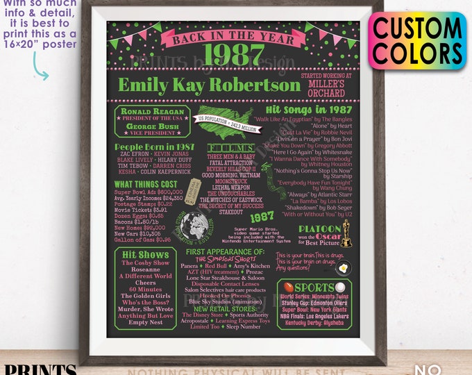 Back in the Year 1987 Retirement Party Sign, Flashback to 1987 Poster Board, Custom PRINTABLE 16x20” Retirement Party Decoration