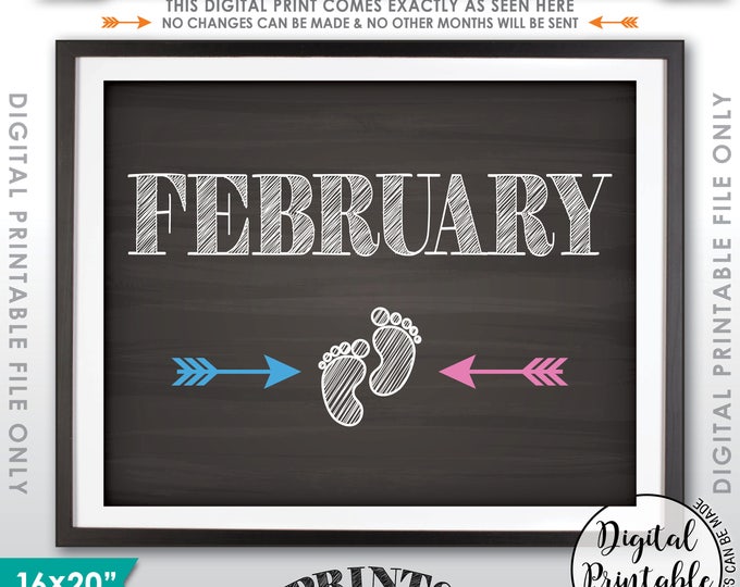 Pregnancy Announcement Sign Subtle Due Date Month Expecting Sign, Pink or Blue, FEBRUARY Dated Chalkboard Style PRINTABLE Reveal Sign <ID>