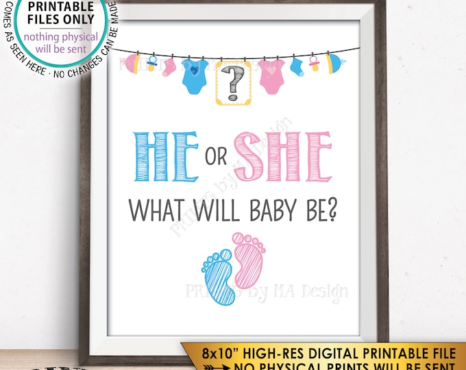 Gender Reveal Sign, He or She What Will Baby Be Gender Reveal Party, Guess Boy or Girl, Pink or Blue, Digital PRINTABLE File 8x10” Sign <ID>