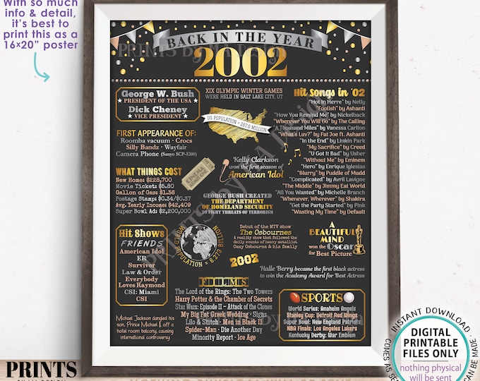Back in the Year 2002 Poster Board, Remember 2002 Sign, Flashback to 2002 USA History from 2002, PRINTABLE 16x20” Sign <ID>