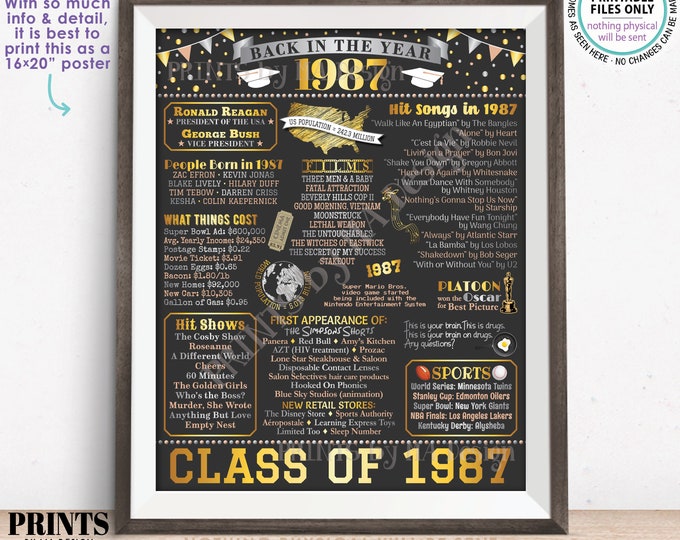 Class of 1987 Reunion Decoration, Back in the Year 1987 Poster Board, Flashback to 1987 High School Reunion, PRINTABLE 16x20” Sign <ID>