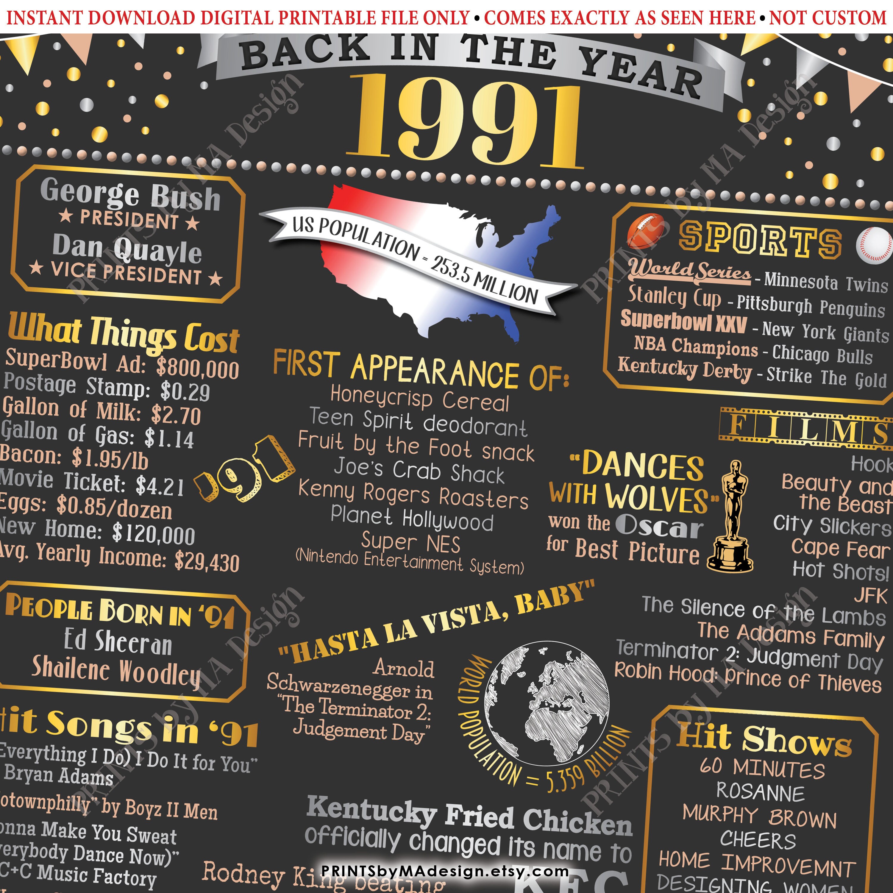 Back in the Year 1991 Birthday Sign, Flashback to 1991 Poster Board