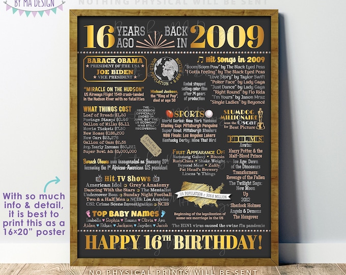 16th Birthday Poster Board, Back in the Year 2009 Flashback 16 years Ago B-day Gift, PRINTABLE 16x20” Born in 2009 Sign <ID>