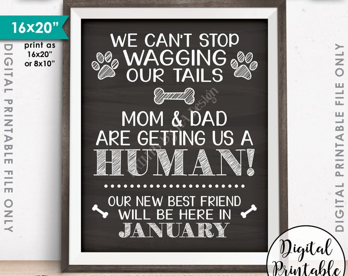 Dogs Pregnancy Announcement, Mom & Dad are Getting Us a Human, Due in JANUARY Dated Chalkboard Style PRINTABLE Pregnancy Reveal Sign <ID>