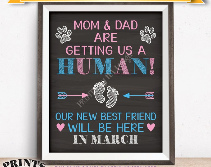 Pets Pregnancy Announcement Sign, Mom & Dad are Getting Us a Human in MARCH Dated Chalkboard Style PRINTABLE Reveal for Dogs/Cats <ID>