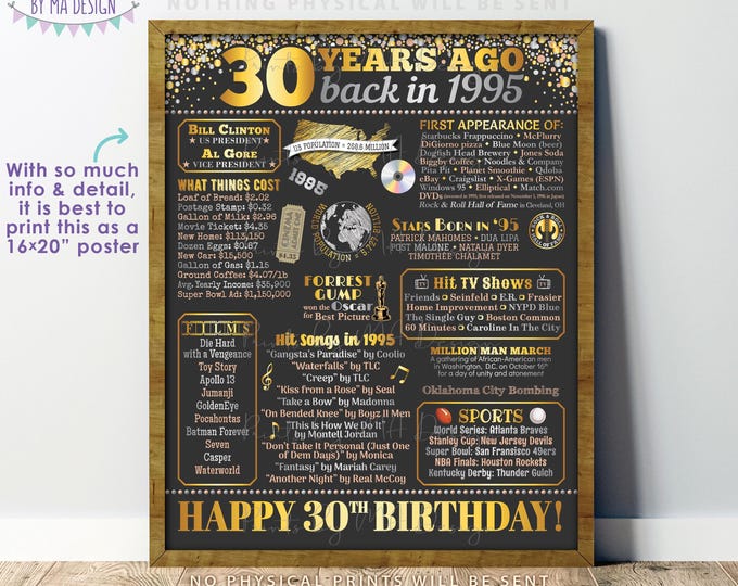 30th Birthday Poster Board, Back in the Year 1995 Flashback 30 Years Ago B-day Gift, PRINTABLE 16x20” Born in 1995 Sign <ID>