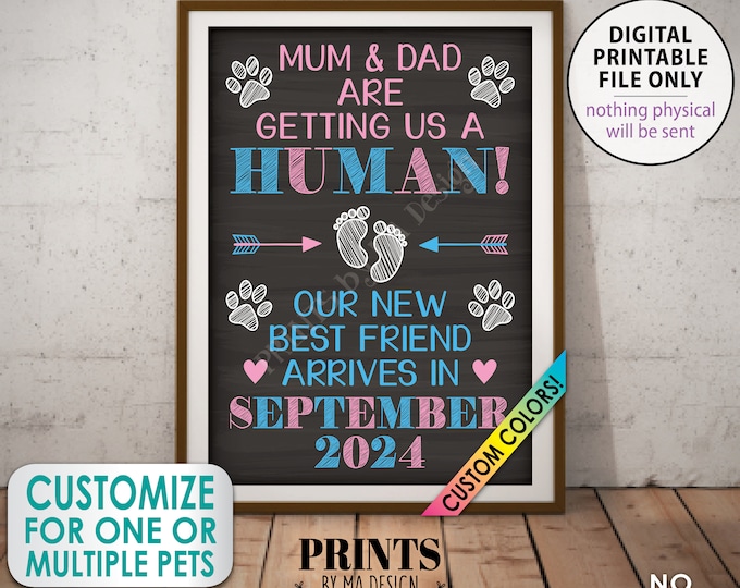 Pet Pregnancy Announcement, Mum & Dad are Getting a Human, New Best Friend Arriving, Custom Chalkboard Style PRINTABLE A1 Baby Reveal Sign