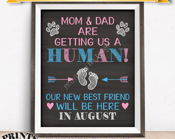 Pets Pregnancy Announcement Sign, Mom & Dad are Getting Us a Human in AUGUST Dated Chalkboard Style PRINTABLE Baby Reveal for Dogs/Cats <ID>