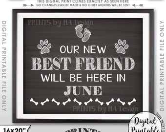 Dogs Pregnancy Announcement, Dog Reveal, Our New Best Friend will be here in JUNE Dated Chalkboard Style PRINTABLE Baby Reveal Sign <ID>