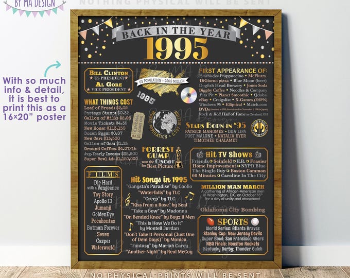 Back in the Year 1995 Poster Board, Remember 1995 Sign, Flashback to 1995 USA History from 1995, PRINTABLE 16x20” Sign <ID>