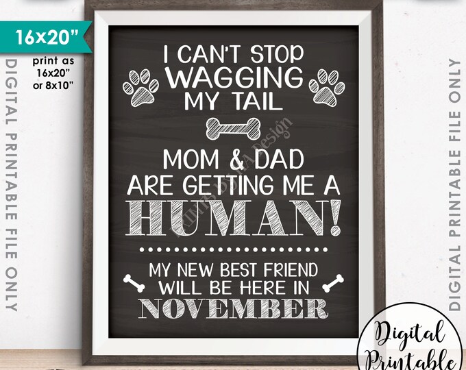 Dog Pregnancy Announcement, Wag Tail, Mom & Dad are Getting Me a Human in NOVEMBER Dated Chalkboard Style PRINTABLE Baby Reveal Sign <ID>
