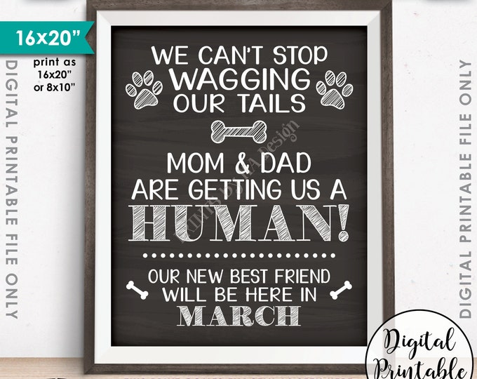 Pregnancy Announcement for Dogs, Mom & Dad are Getting Us a Human, Due in MARCH Dated Chalkboard Style PRINTABLE Baby Reveal Sign <ID>