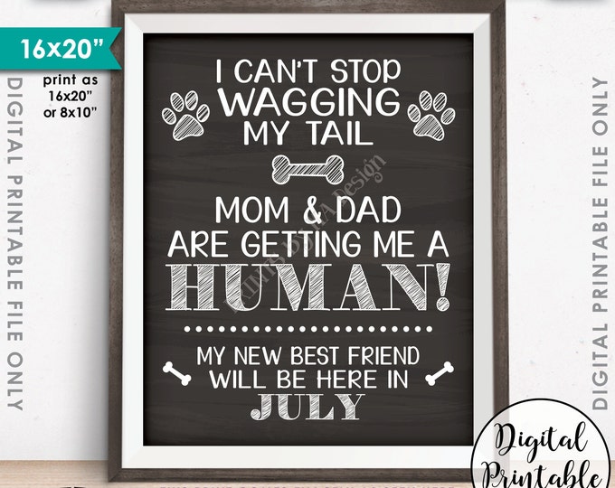 Dog Pregnancy Announcement, Mom & Dad are Getting Me a Human in JULY Dated Chalkboard Style PRINTABLE Baby Reveal Sign, Wagging Tail <ID>
