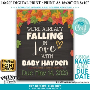 May include: A digital printable announcement for a baby shower. The announcement features a chalkboard background with autumn leaves and the text "We're already falling in love with Baby Hayden Due May 14, 2023".