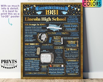 Back in the Year 1981 Poster Board, Class of 1981 Reunion Decoration, Flashback to 1981 Graduating Class, Custom PRINTABLE 16x20” Sign