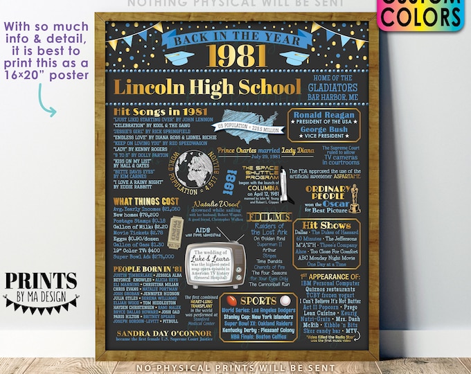 Back in the Year 1981 Poster Board, Class of 1981 Reunion Decoration, Flashback to 1981 Graduating Class, Custom PRINTABLE 16x20” Sign