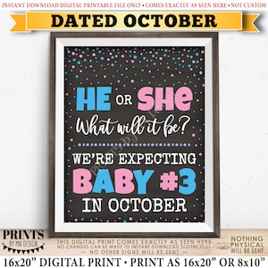 Baby Number 3 Pregnancy Announcement, He or She What Will It Be We're Expecting Baby #3 in OCTOBER Dated PRINTABLE Baby Reveal Sign <ID>