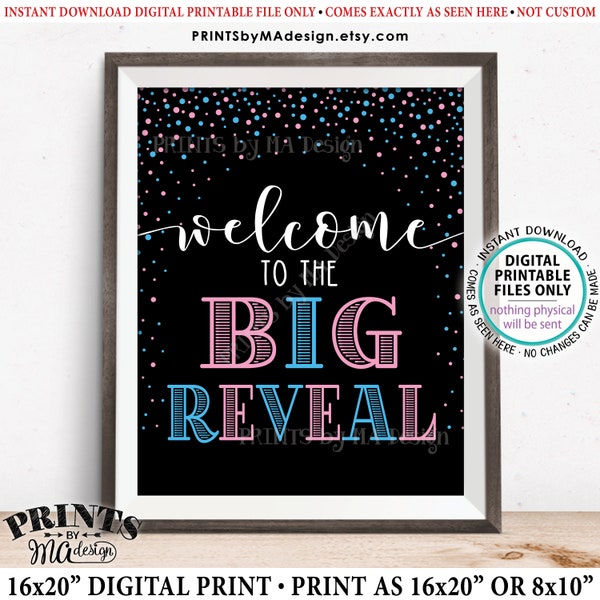 Welcome to the Big Reveal Sign, Gender Reveal Party Sign, PRINTABLE 8x10/16x20 Gender Reveal Sign, Pink & Blue Confetti <ID>