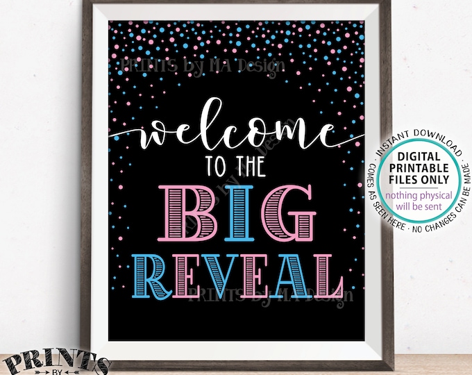 Welcome to the Big Reveal Sign, Gender Reveal Party Sign, PRINTABLE 8x10/16x20 Gender Reveal Sign, Pink & Blue Confetti <ID>