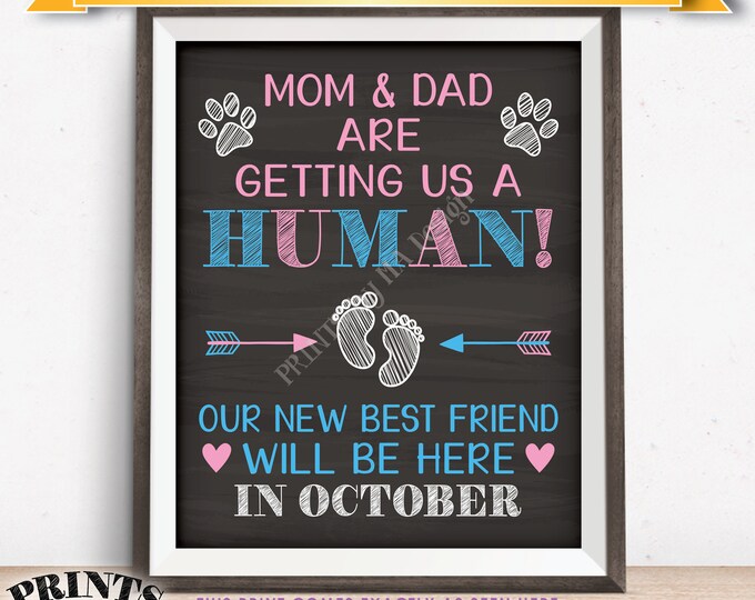 Pets Pregnancy Announcement Sign, Mom & Dad are Getting Us a Human in OCTOBER Dated Chalkboard Style PRINTABLE Reveal for Dogs/Cats <ID>