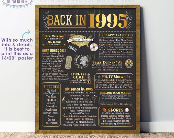 Back in 1995 Poster Board, Flashback to 1995, Remember 1995, USA History from 1995, PRINTABLE 16x20” Sign <ID>