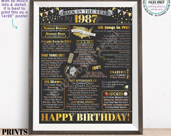 Back in the Year 1987 Birthday Sign, Flashback to 1987 Poster Board, ‘87 B-day Gift, Bday Decoration, PRINTABLE 16x20” Sign <ID>