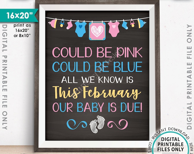 Pregnancy Announcement, Could be Pink Could be Blue, Our Baby is Due in FEBRUARY Dated Chalkboard Style PRINTABLE 16x20” Reveal Sign <ID>
