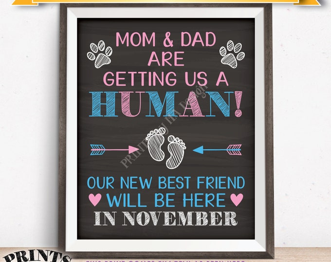 Pets Pregnancy Announcement Sign, Mom & Dad are Getting Us a Human in NOVEMBER Dated Chalkboard Style PRINTABLE Reveal for Dogs/Cats <ID>