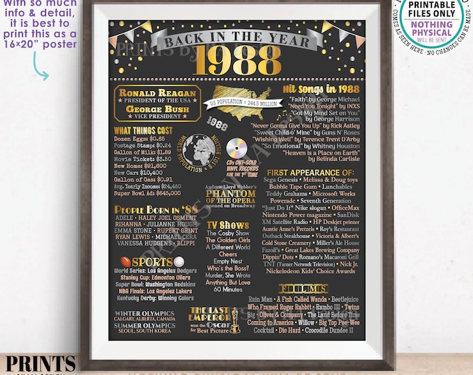 Back in 1988 Poster Board, Flashback to 1988, Remember the Year 1988, USA History from 1988, PRINTABLE 16x20” Sign <ID>