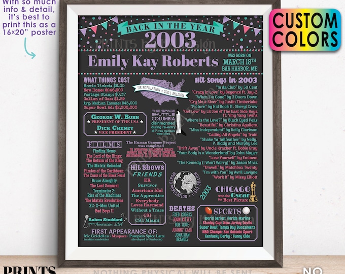 Back in the Year 2003 Birthday Sign, Flashback to 2003 Poster Board, 2003 Birthday Gift, Custom PRINTABLE 16x20” B-day Decoration