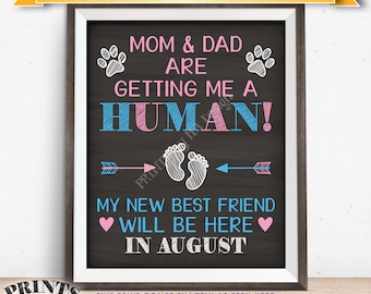 Pet Pregnancy Announcement Sign, Mom & Dad are Getting Me a Human in AUGUST Dated Chalkboard Style PRINTABLE Baby Reveal for a Dog/Cat <ID>