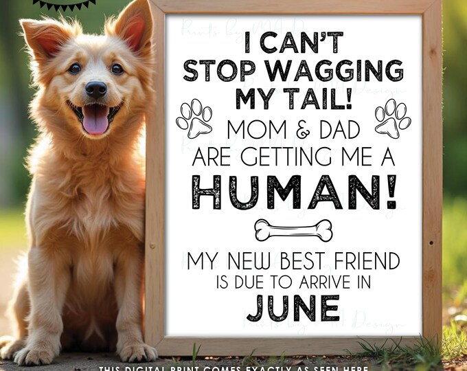 Dog Pregnancy Announcement, Mom & Dad are Getting Me a Human, New Best Friend is Due in JUNE Dated PRINTABLE Baby Reveal Sign <ID>