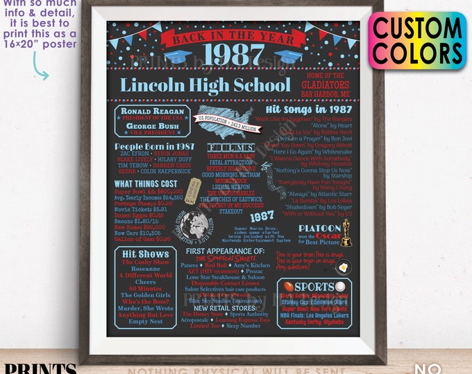 Back in the Year 1987 Poster Board, Class of 1987 Reunion Decoration, Flashback to 1987 Graduating Class, Custom PRINTABLE 16x20” Sign