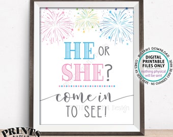 Fireworks Gender Reveal Party Sign, He or She Come In to See, Pink or Blue, Boy or Girl, PRINTABLE 8x10/16x20" Welcome Sign <ID>
