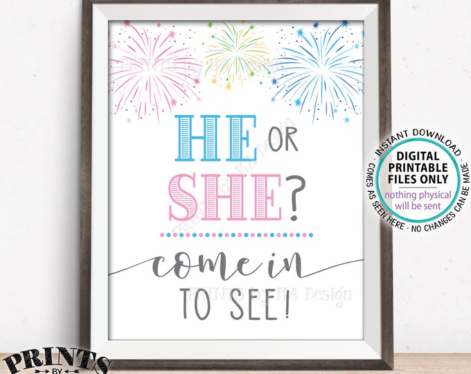 Fireworks Gender Reveal Party Sign, He or She Come In to See, Pink or Blue, Boy or Girl, PRINTABLE 8x10/16x20" Welcome Sign <ID>