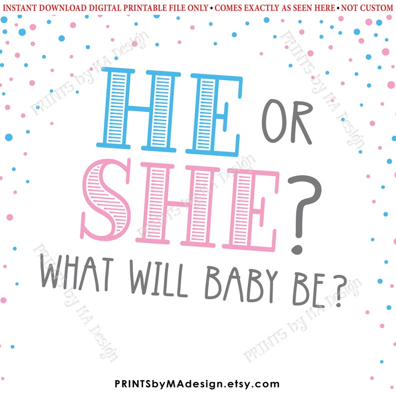 He or She What Will Baby Be Gender Reveal Party PRINTABLE Etsy