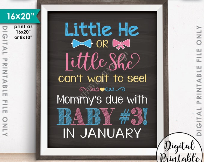 Baby #3 Pregnancy Announcement Little He or Little She Can't Wait to See Baby 3 in JANUARY Dated Chalkboard Style PRINTABLE Reveal Sign <ID>
