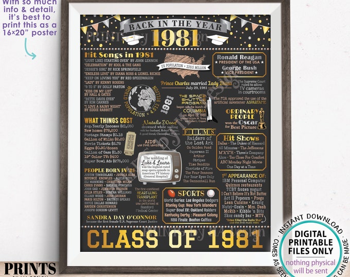 Back in 1981 Poster Board, Graduating Class of 1981 Reunion Decoration, Flashback to 1981 High School Reunion, PRINTABLE 16x20” Sign <ID>