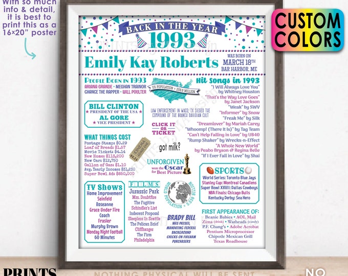 Back in the Year 1993 Birthday Sign, Flashback to 1993 Poster Board, Birthday Gift, Custom Colors, PRINTABLE 16x20” B-day Decoration
