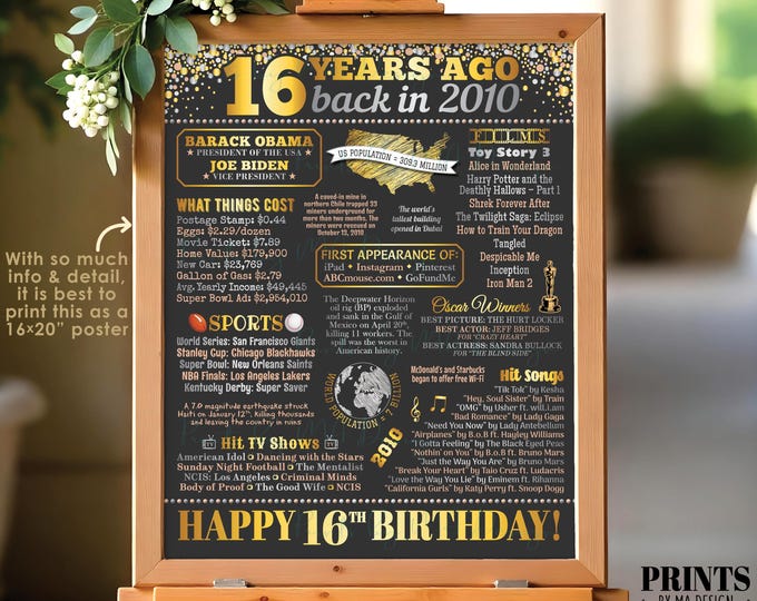 16th Birthday Poster Board, Back in the Year 2010 Flashback 16 Years Ago B-day Gift, PRINTABLE 16x20” Born in 2010 Sign <ID>