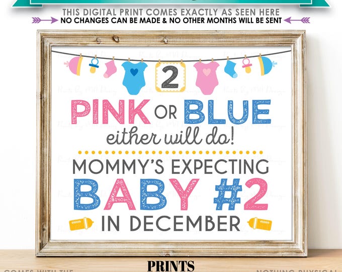 Baby Number 2 Pregnancy Announcement Sign, Pink or Blue Either Will Do, Baby #2 Due in DECEMBER, PRINTABLE 8x10/16x20” Baby Reveal Sign <ID>
